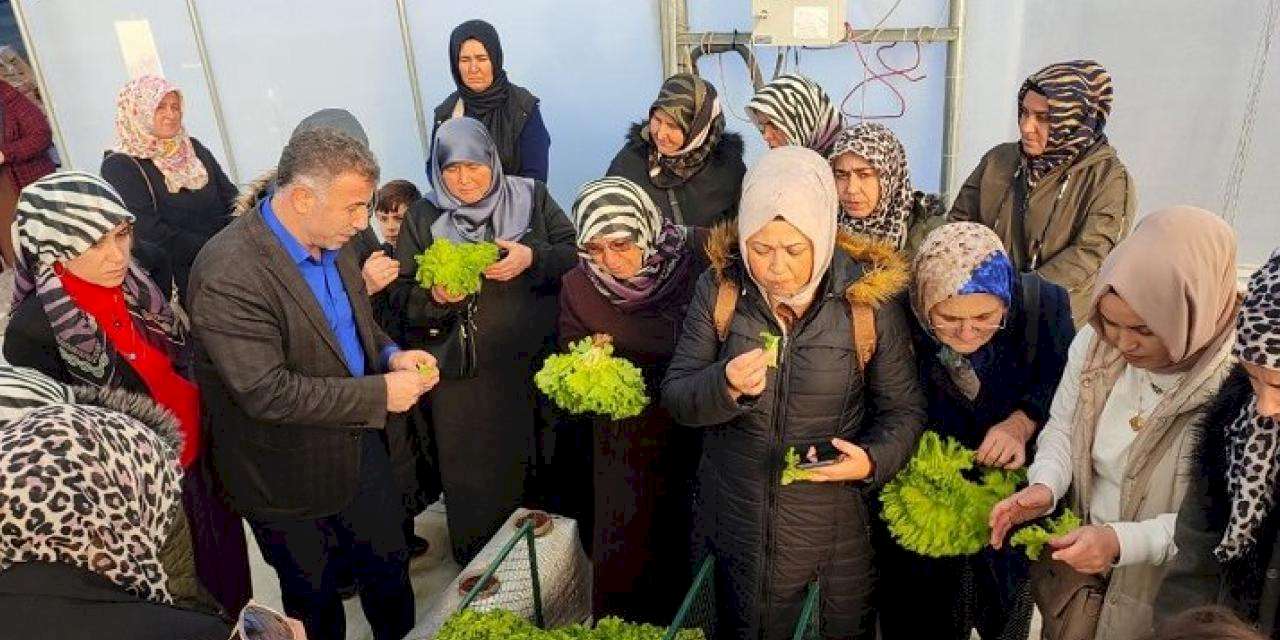 Kocaeli'nde topraksız tarıma kadın çiftçilerden yoğun ilgi