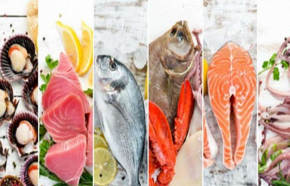 Su ürünleri ihracatta lokomotif oldu