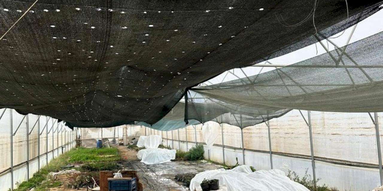 Manisa'da üreticiye sera naylon desteği