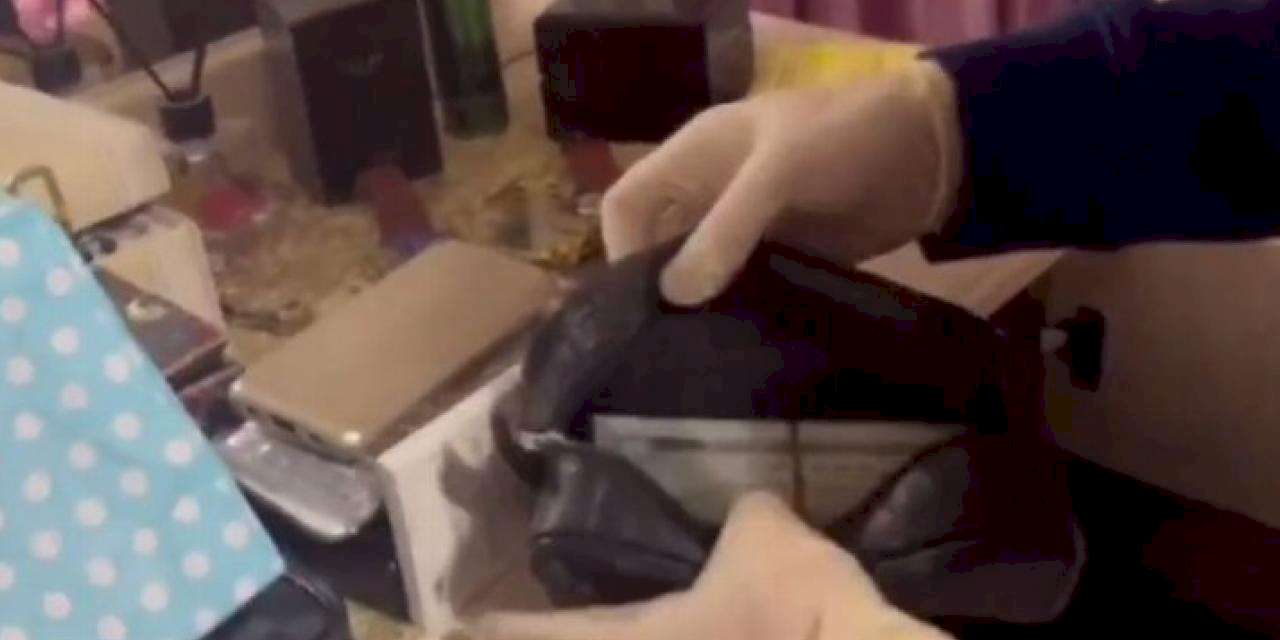 Kahramanlar'dan 11 ilde 36 gözaltı!