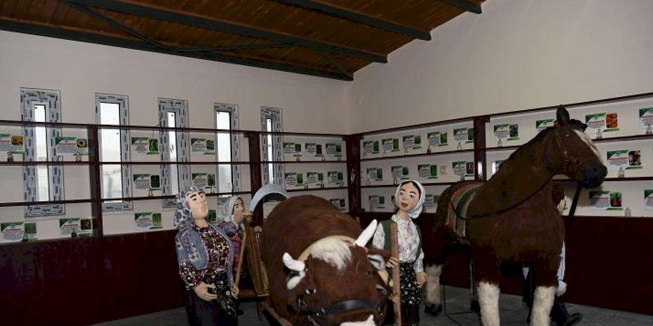 Kayseri Büyükşehir'den Doğal Üretim Bahçesi yatırımı