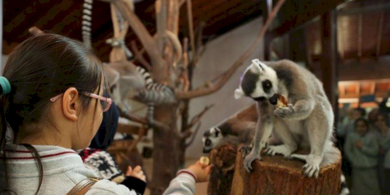 Bursa'da karne hediyesi; Hayvanat Bahçesi