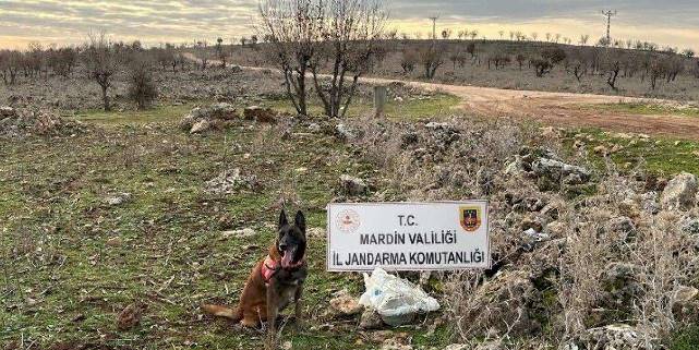 Dargeçit'te 25 kg tuzaklanmış patlayıcı ele geçirildi