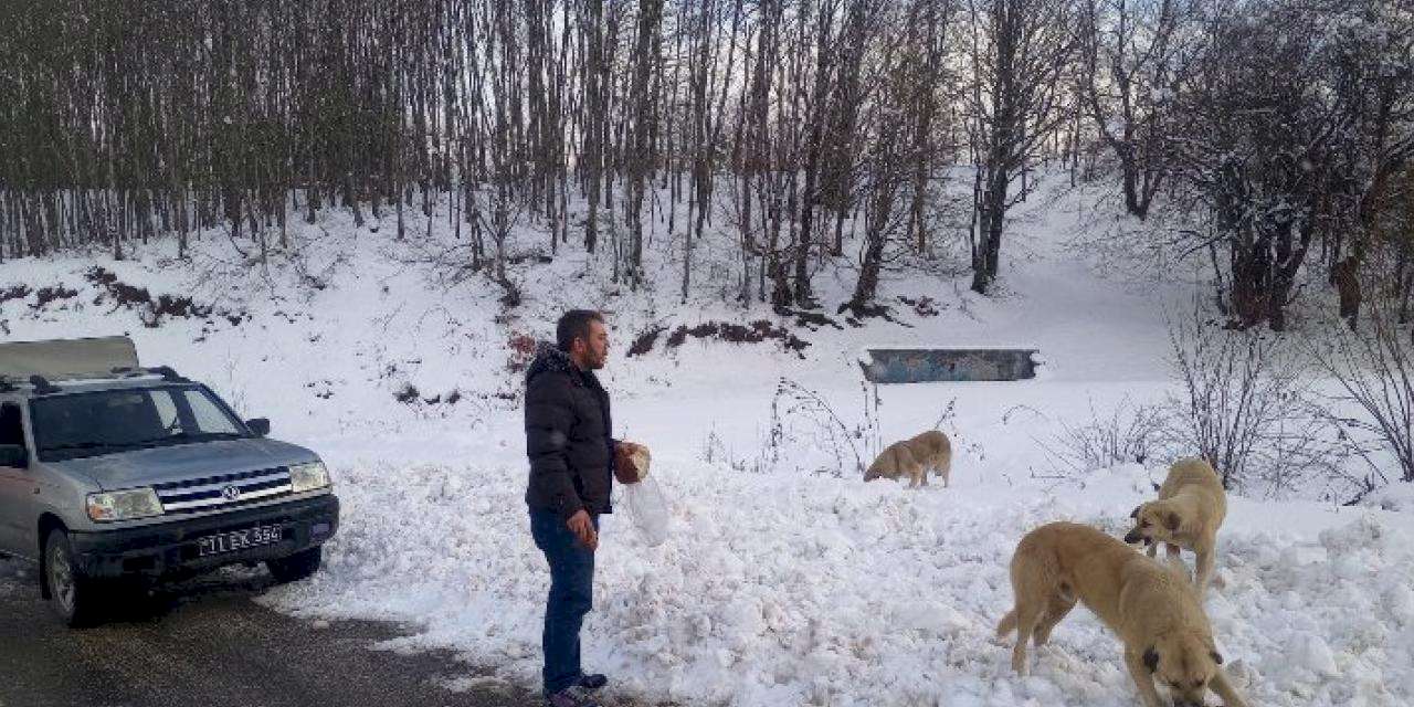 Pazaryeri’nde -10'da can dostlarına belediye şefkati