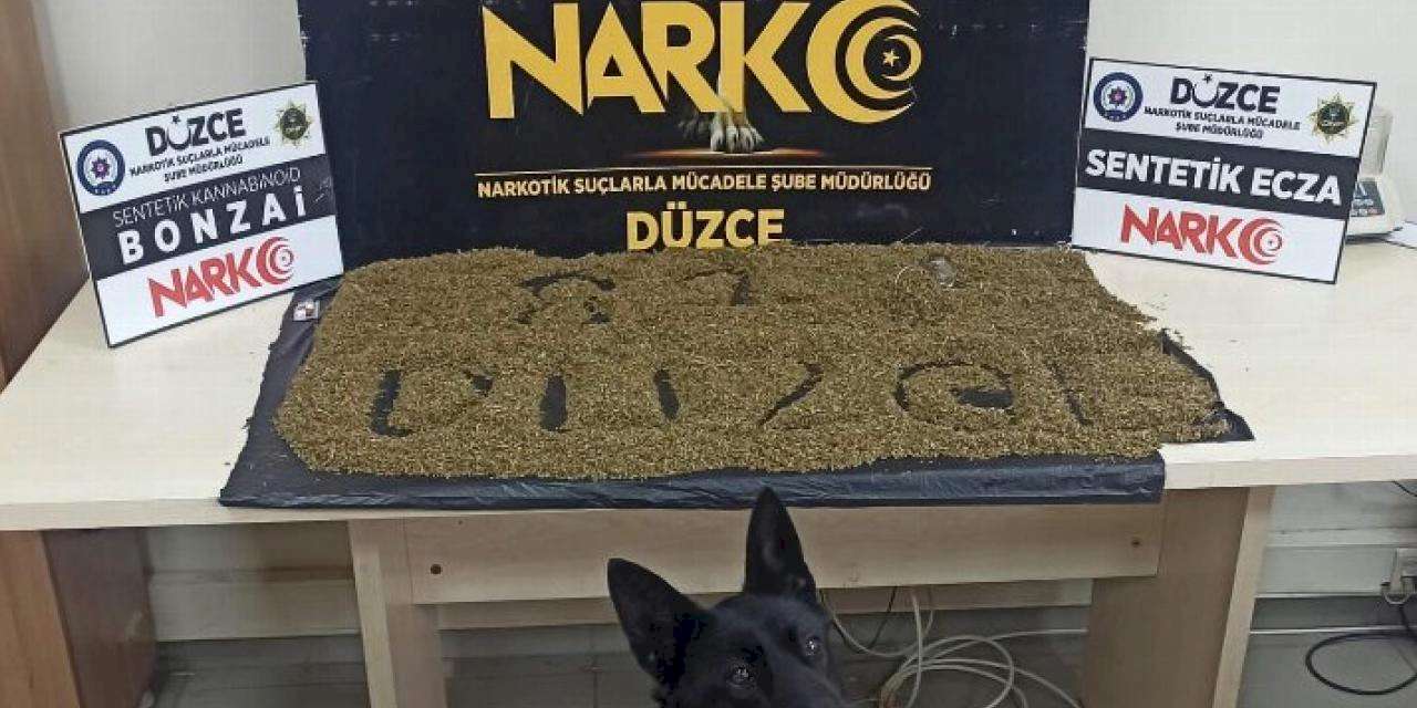 Düzce'de uyuşturucuya 2 tutuklama
