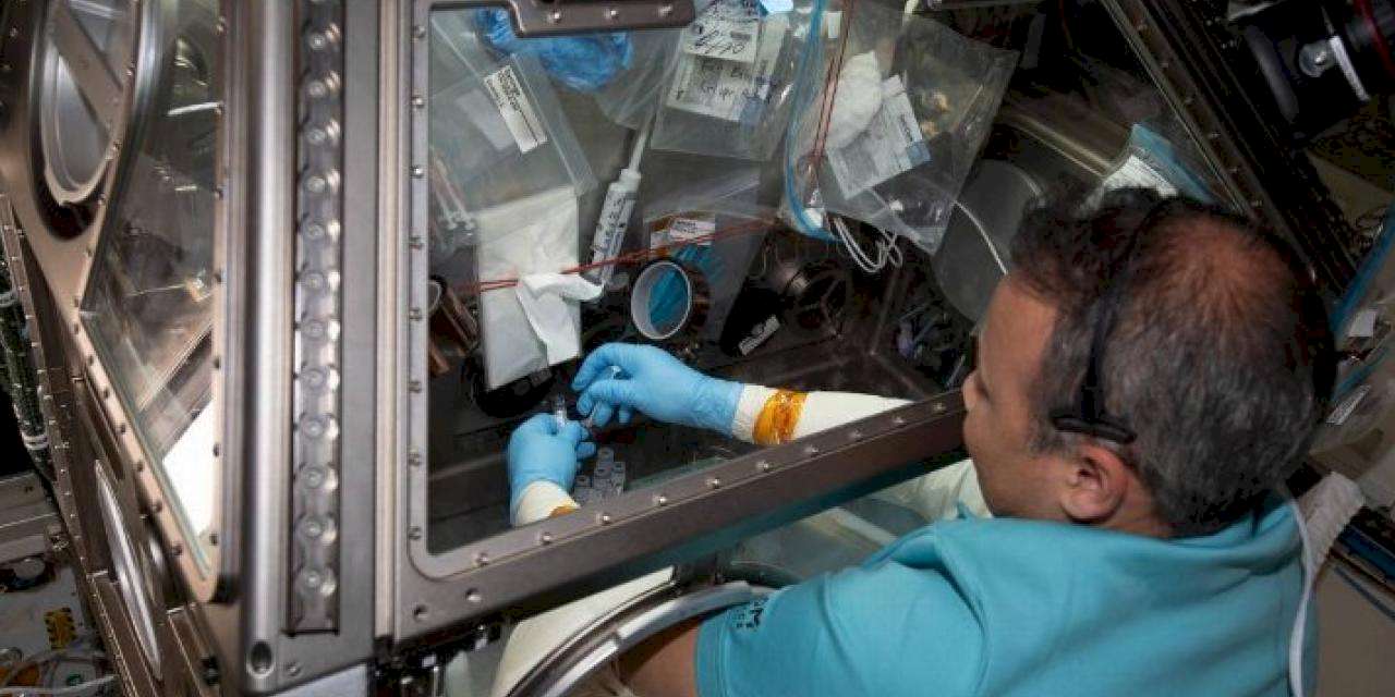 Gezeravcı uzayda pür dikkat çalışıyor