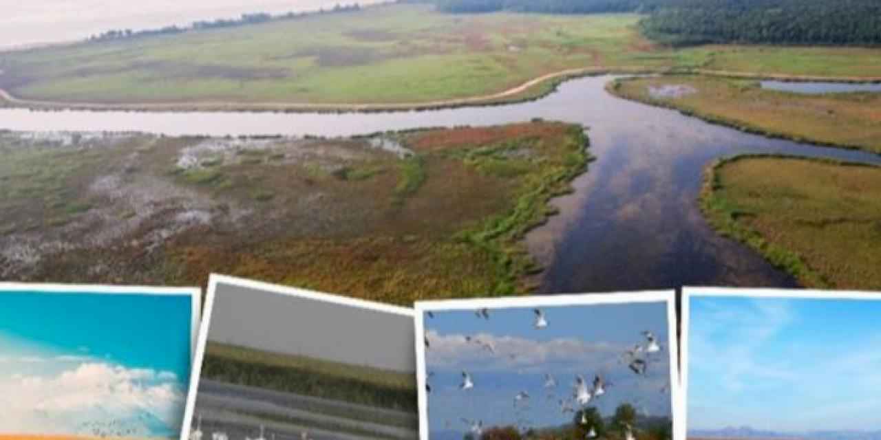 6 bini aşkın sulak alan kayıt altında
