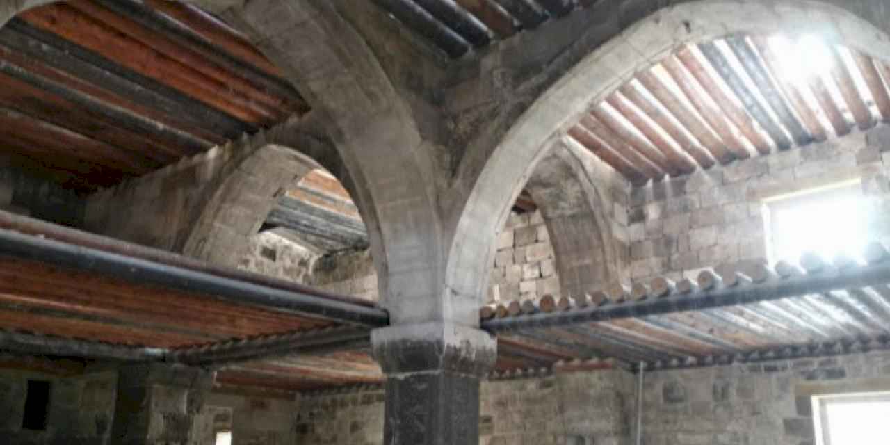 Kayseri'de bağcılık kültürü  yeniden canlanacak