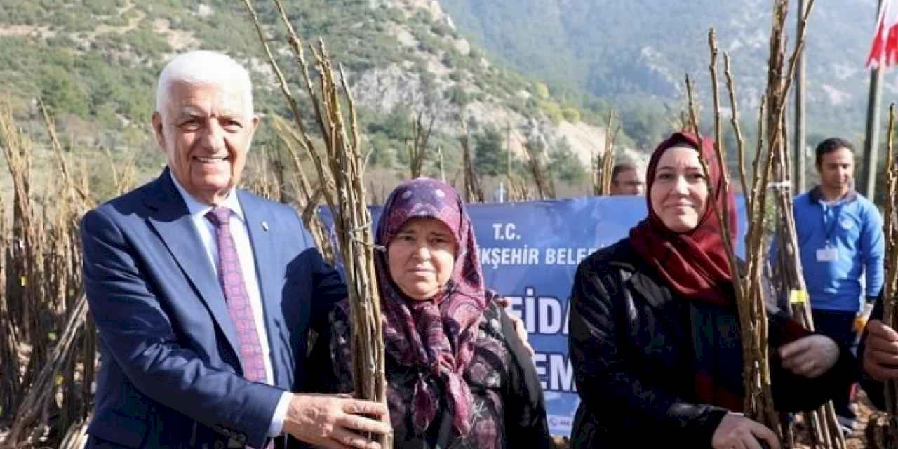 Muğla Büyükşehir Belediyesi çiftçiye fidan desteği