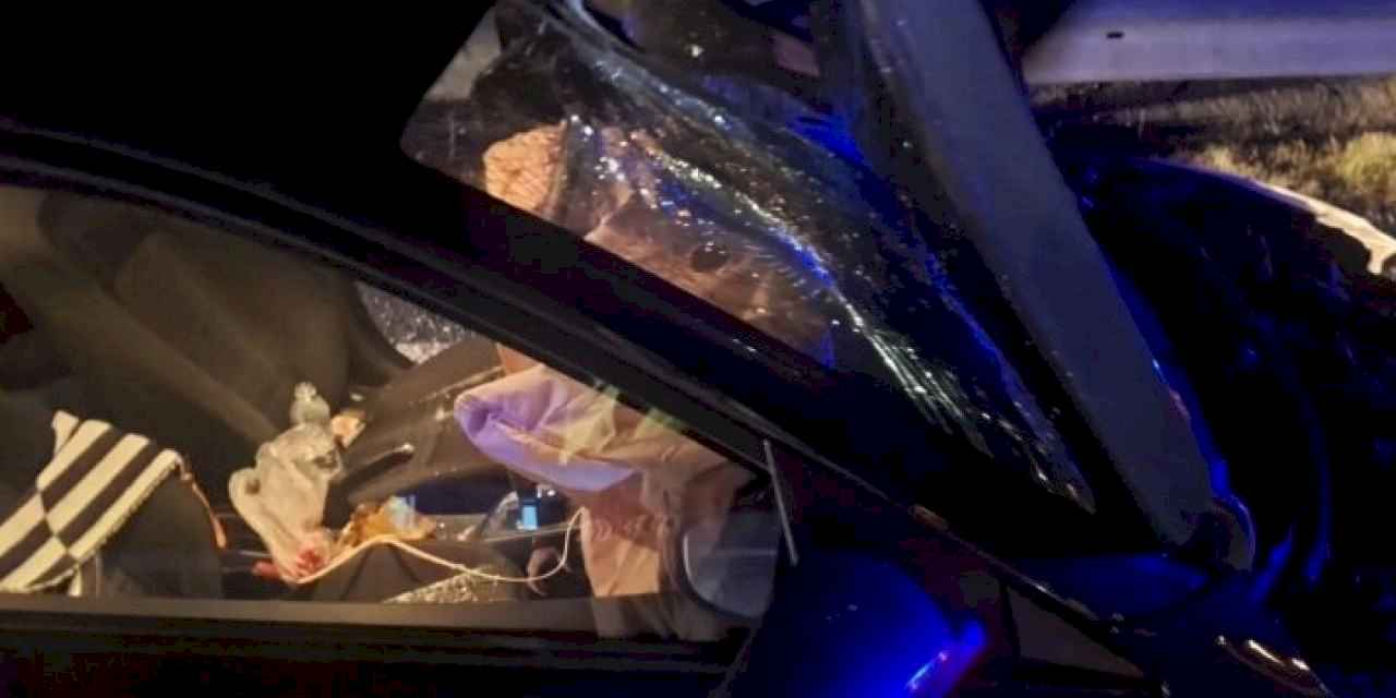 Düzce'de kaza: Yolun karşısına geçemedi