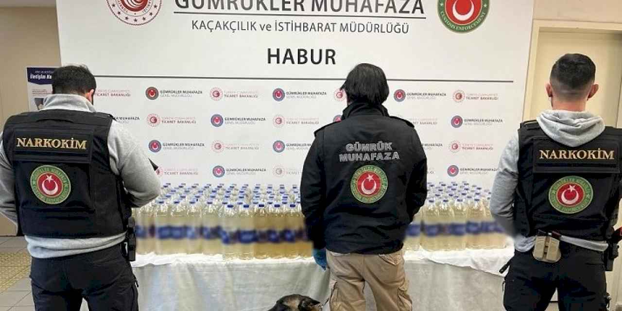 Habur Gümrük Kapısı'nda zehir operasyonu
