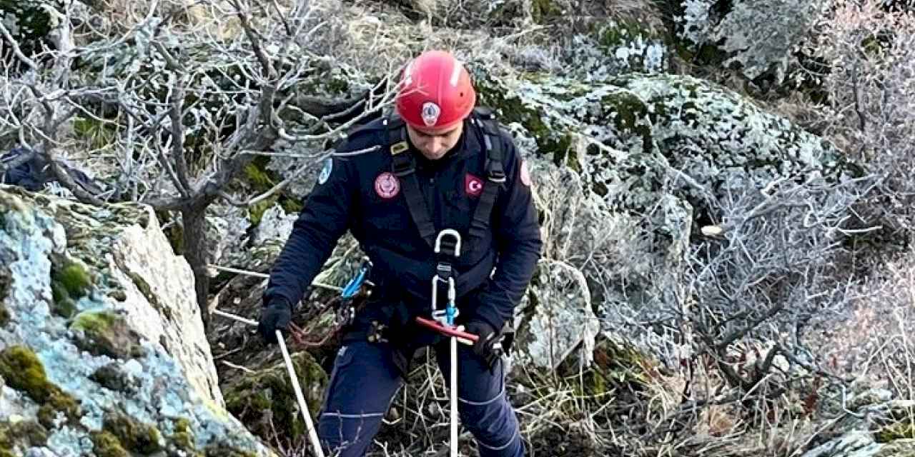 Kayseri Büyükşehir'den 'keçi' operasyonu