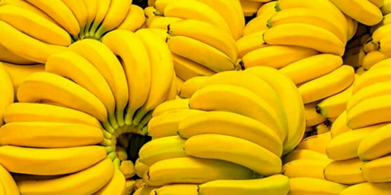 Muz arası kokain sistemi çöktü