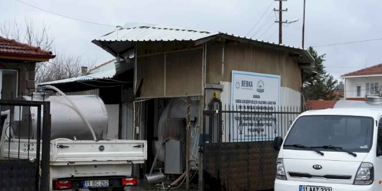 Çiğ sütte Pazaryeri’nden ülke ekonomisine milyonluk katkı