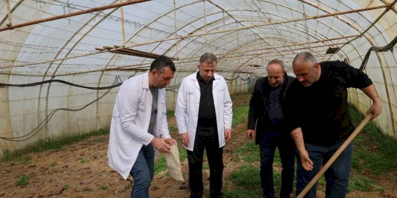 Kocaeli'de üreticiye destek devam ediyor