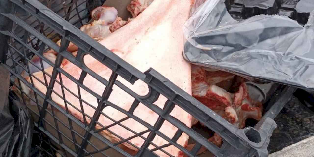 Düzce'de çöpe atılan şüpheli kemikler ekipleri harekete geçirdi