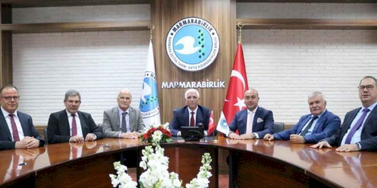 Zeytin üreticisine 860 milyon TL kredi desteği