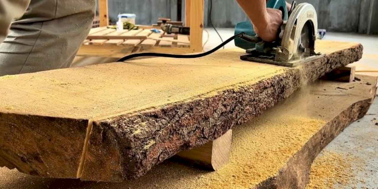 Türkiye ağaç sektörü iş ilanlarına cevap alamıyor!