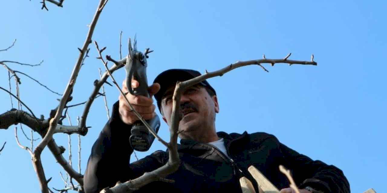 Gürsu'nun tarımına 'bağımsız' vizyon getirecek... Şefikoğlu'nun vizyonsal tarım projeleri