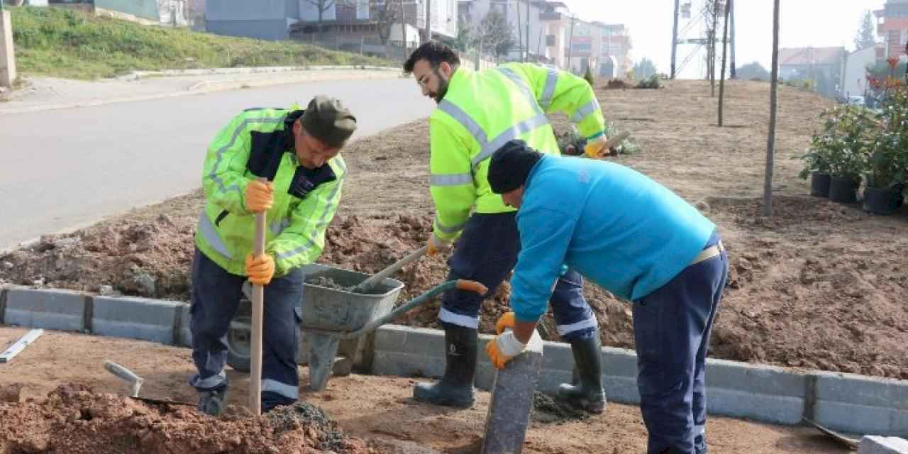 Büyükşehir, refüjleri ağaçlandırıyor