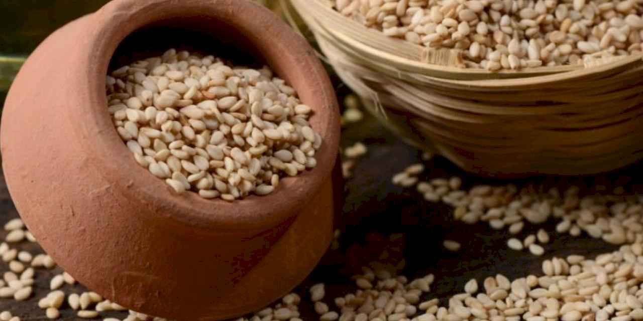 Susam ihracatında rekor artış!