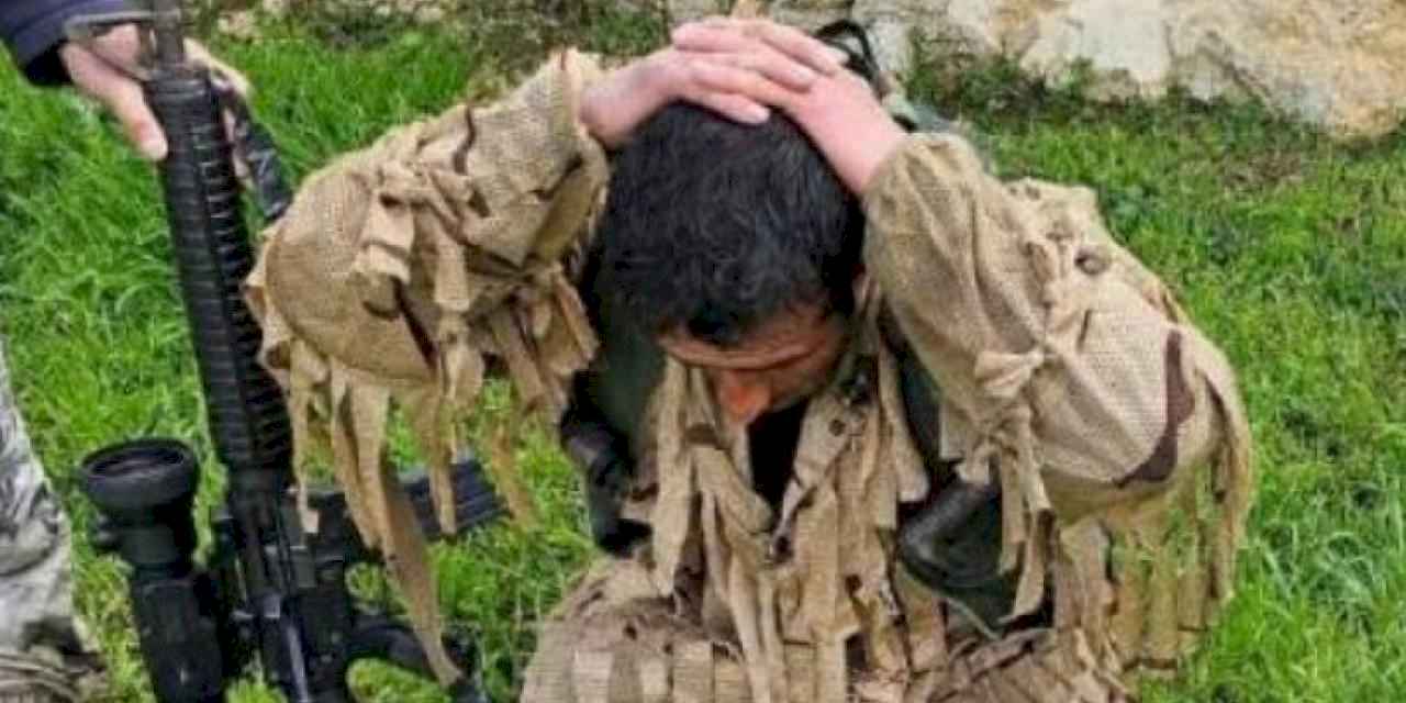 Zeytin Dalı'na sızmaya çalışan terörist yakalandı