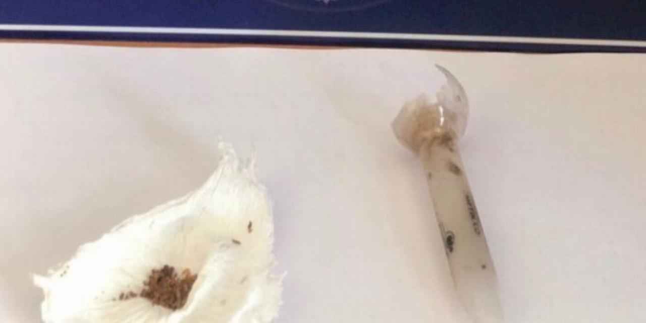 Keşan'da 3 günde uyuşturucudan 8 gözaltı!