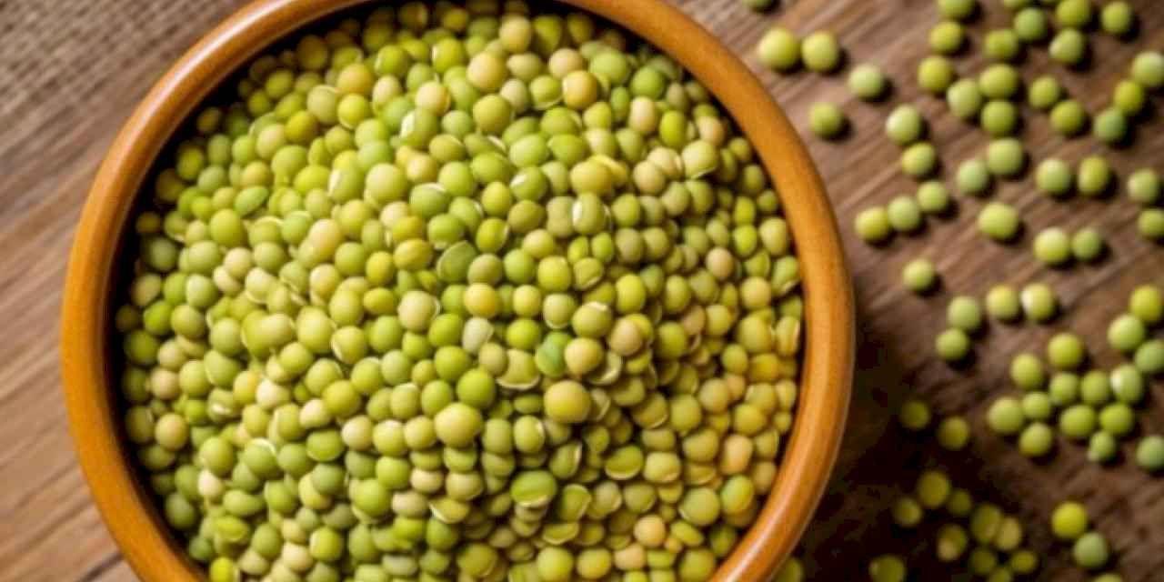 Yeşil mercimek uzun süre tokluk veriyor