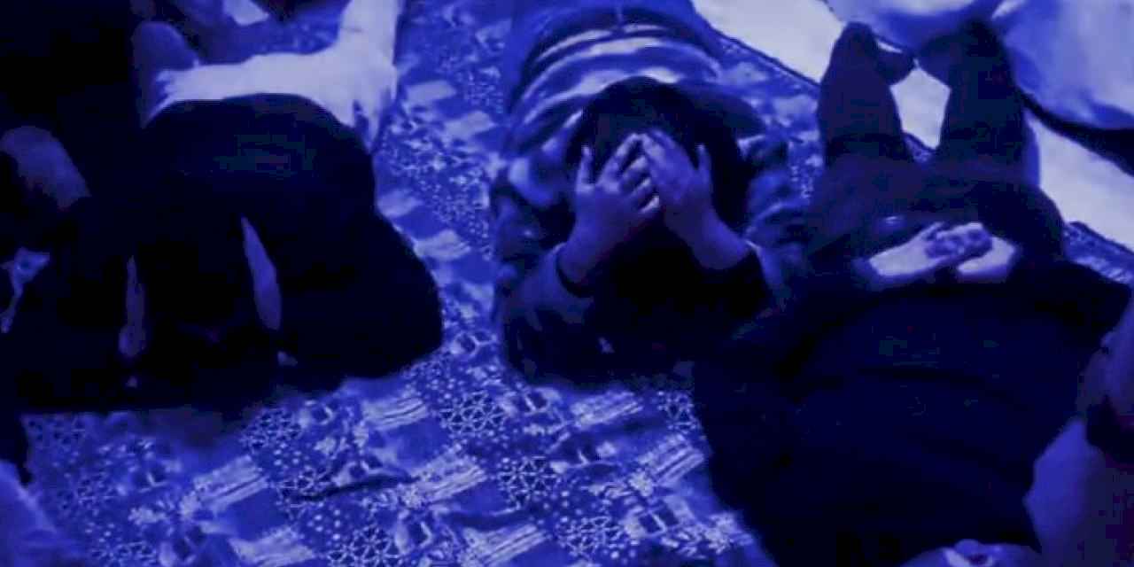 Tunceli'de 'Mahzen'! 12 gözaltı