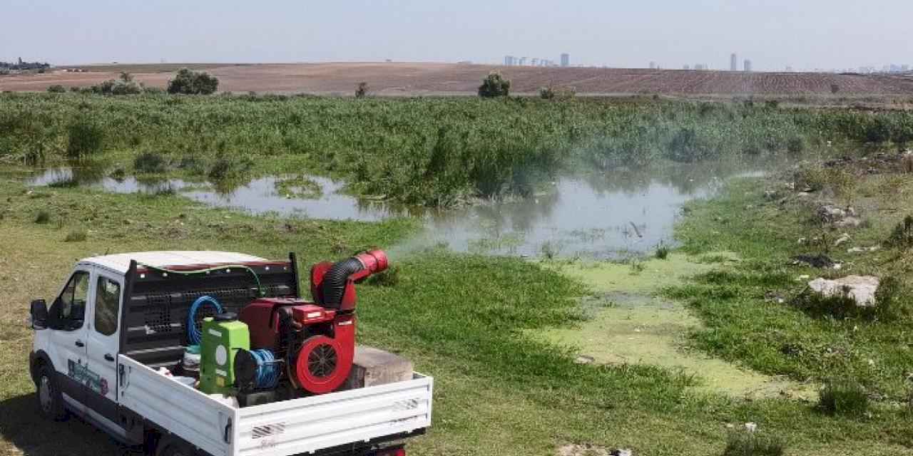 İstanbul'da vektörle mücadelede yoğunluk arttı