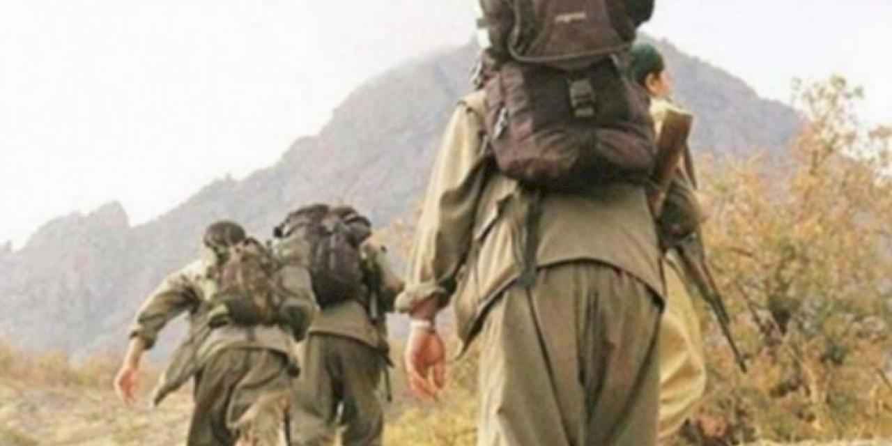 1 terörist Habur'da teslim oldu!