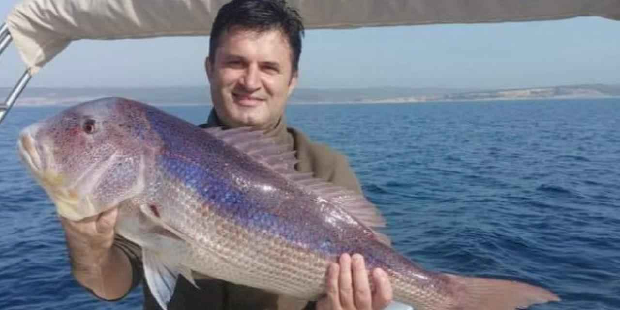 Saros'da yakalanan balık şaşkınlık yarattı