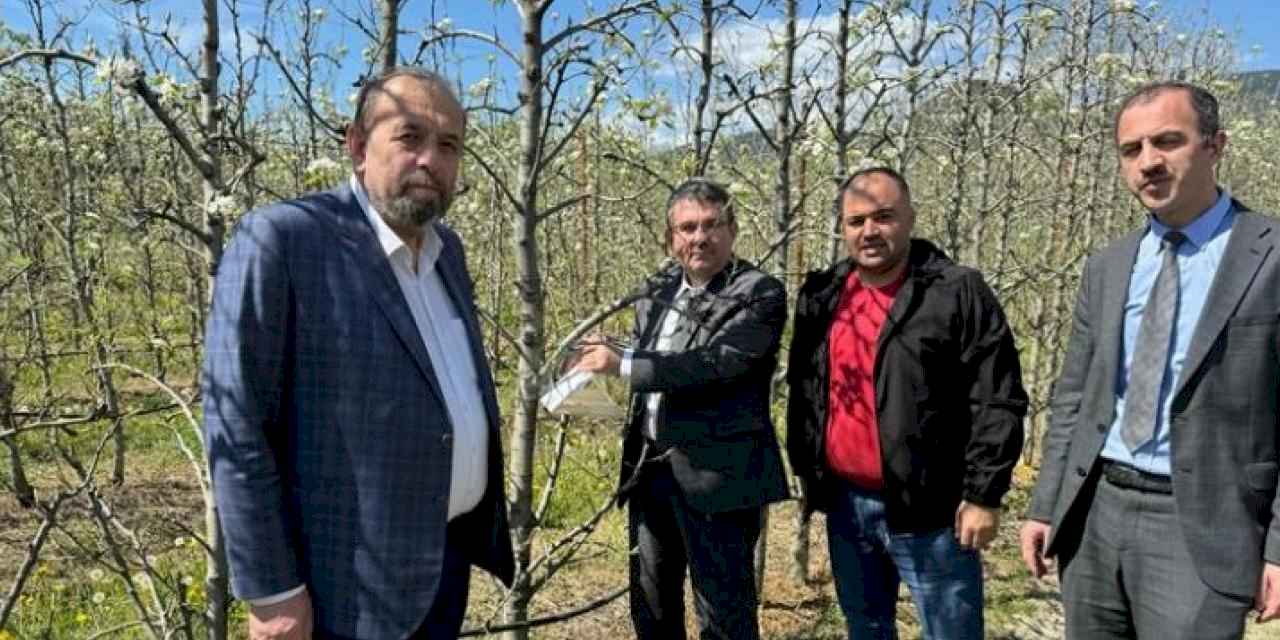 Bursa Gürsu'da armut bahçelerinde biyolojik mücadele