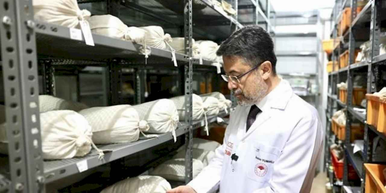 120 bin genetik materyal 'banka'larda korunuyor