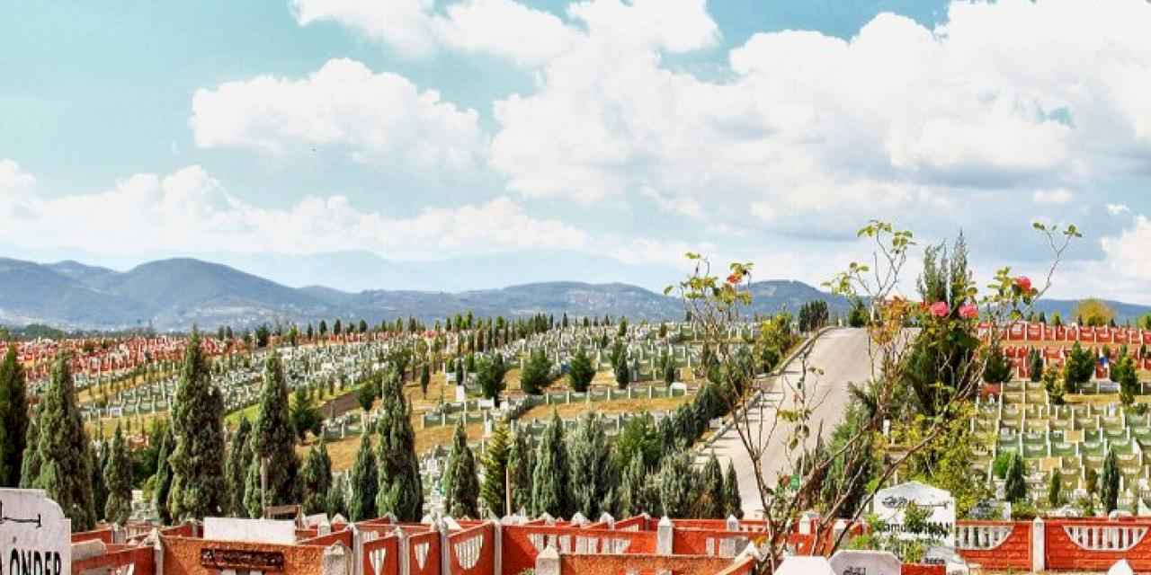 Arefe gününde Sakarya'da mezarlıklara ulaşım ücretsiz