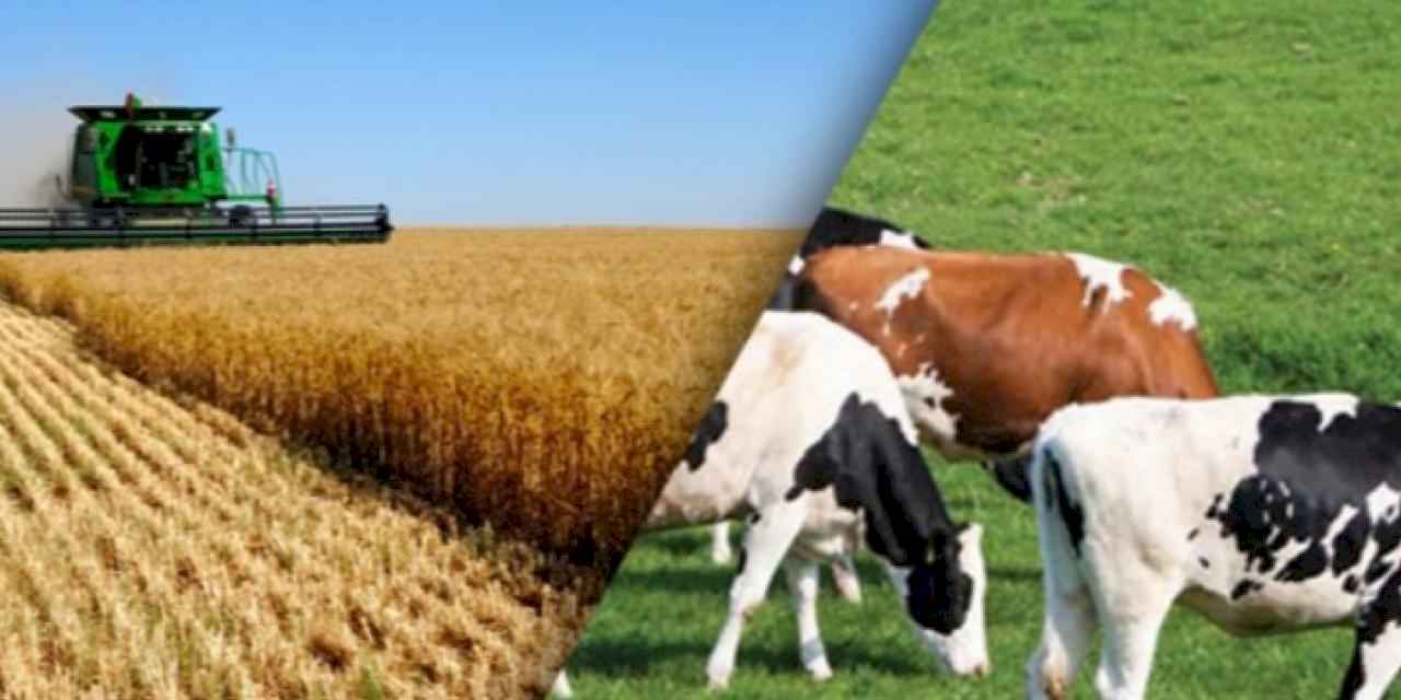 CHP'den tarım ve hayvancılık seferberliği