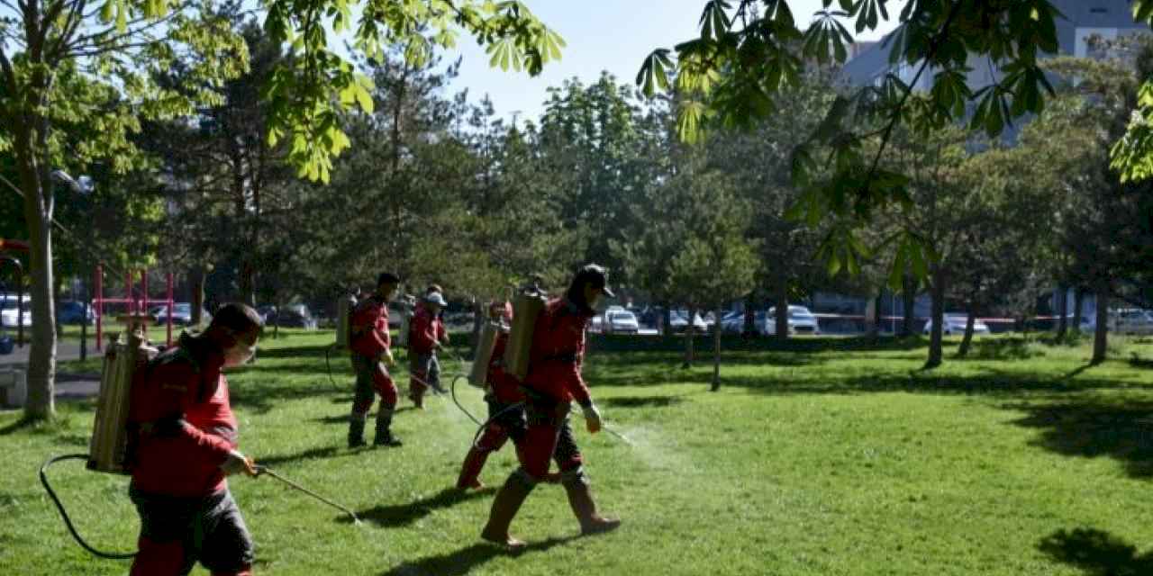 Kocasinan’dan huzurlu bir yaz için haşere ile mücadele