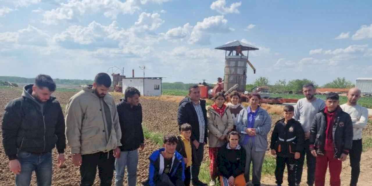 Edirne Jandarması 14 düzensiz göçmen yakaladı!