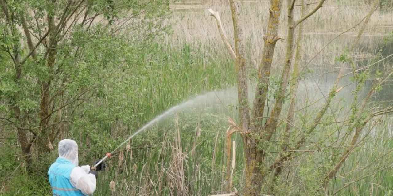 İzmit Belediyesi halk sağlığı için ilaçlama çalışmalarını sürdürüyor