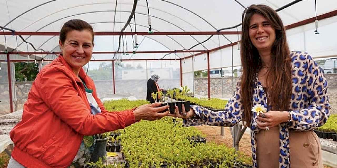 Çeşme Belediye Başkanı Lal Denizli, Ata tohumu yaygınlaştırma projesi kapsamında üreticilere fidan ve tohum desteği verdi