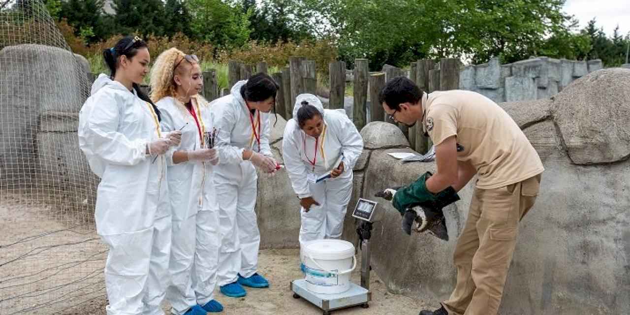 Erasmuslu öğrenciler Bursa Hayvanat Bahçesi’nde