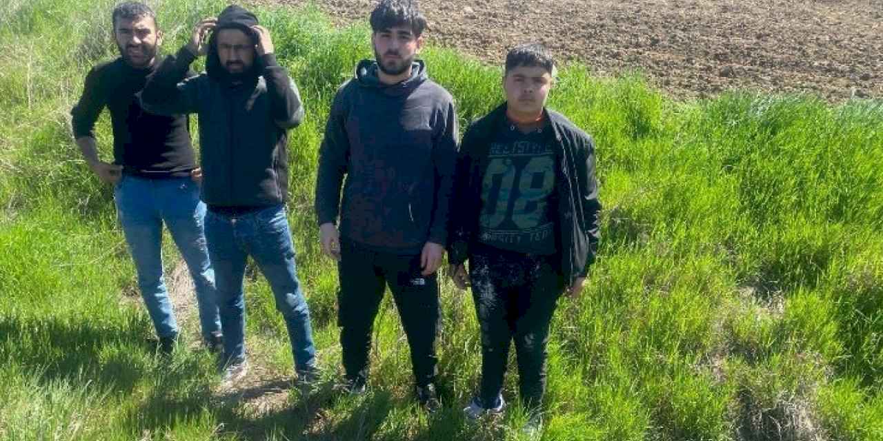 Edirne'de 4 göçmen yakalandı