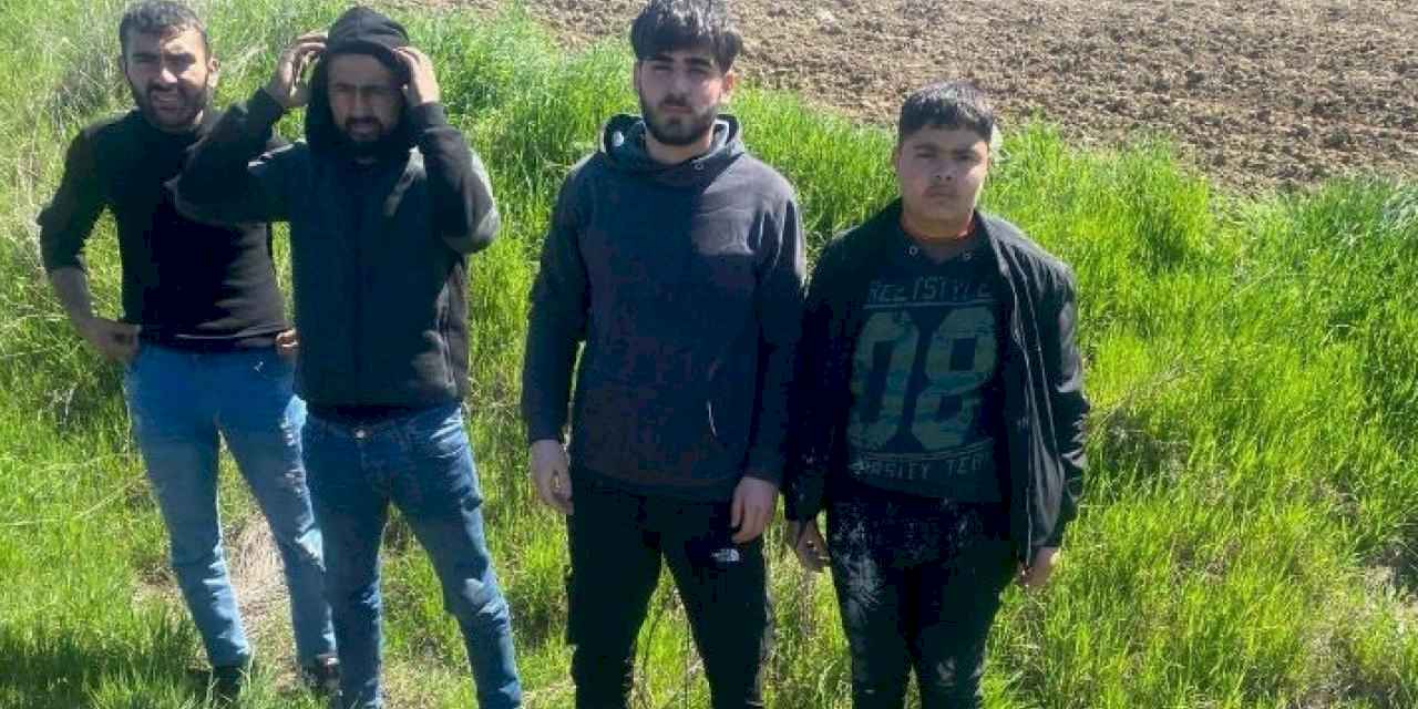 Edirne'de 4 göçmen yakalandı!
