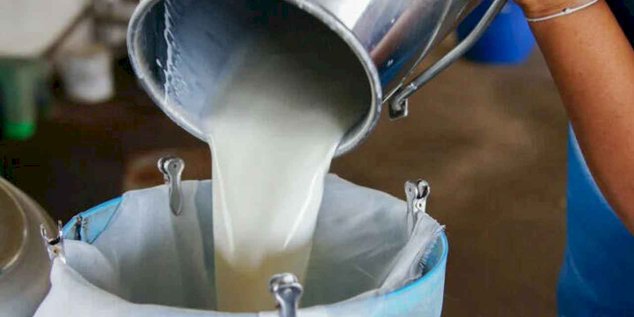 Çiğ süt üretimi azaldı!