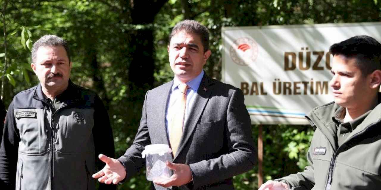 Düzce Valiliğinden gal arısı ile mücadele