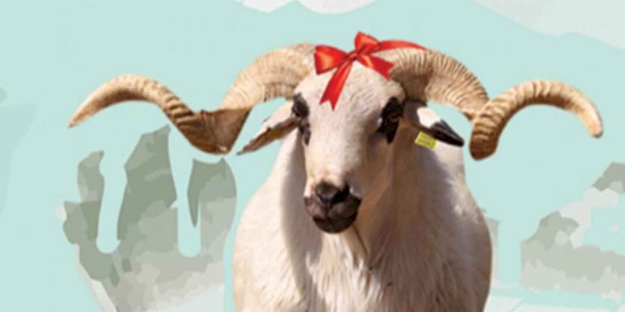 Gebze’de kurban satış alanı kayıtları başladı