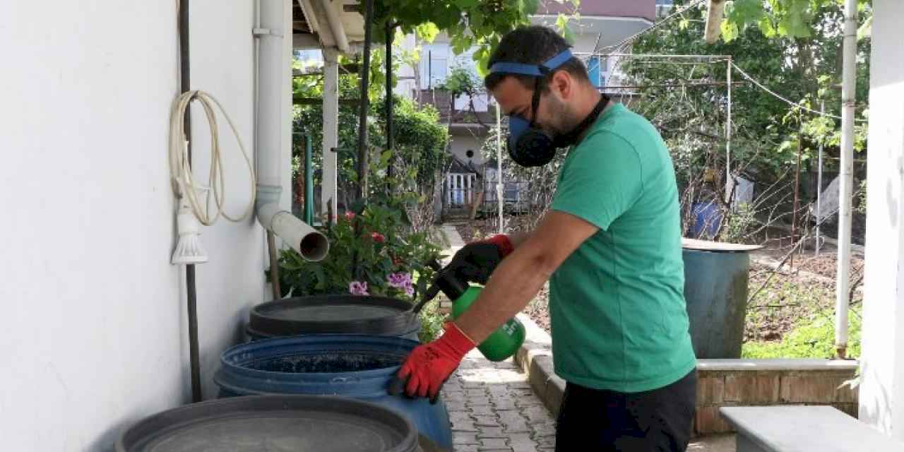 Kocaeli'de sivrisineklerle mücadele çalışmaları sürüyor