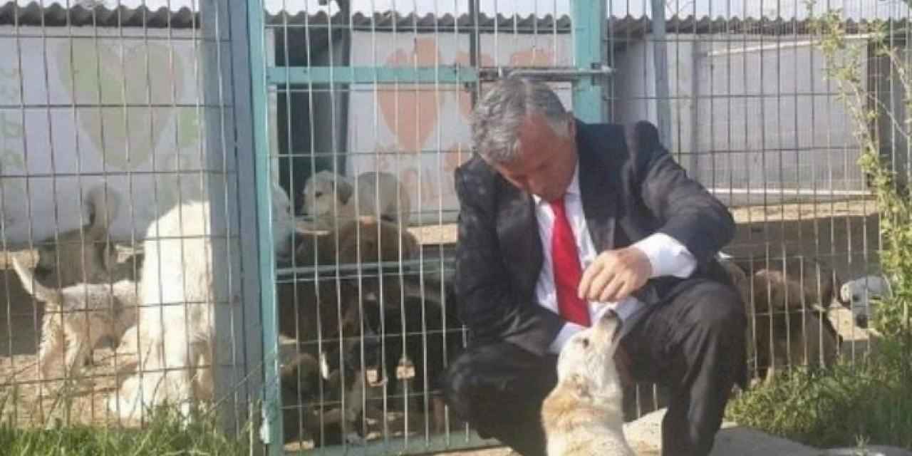 İpsala Sokak köpeklerine sahip çıkacak