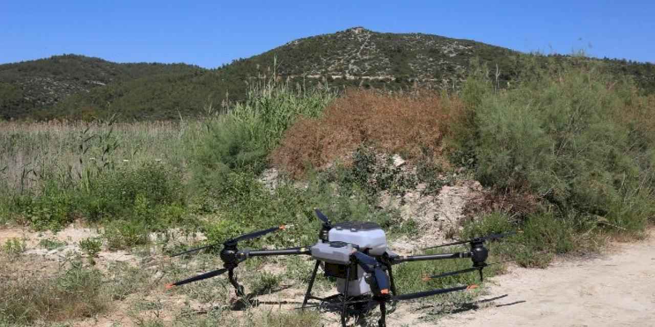 İzmir Efes Selçuk'ta Büyükşehir'den ilaçlama desteği