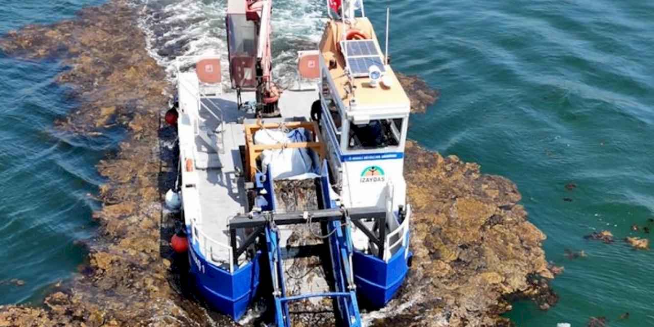 Kocaeli deniz ekosistemini koruyor